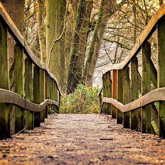 曹县华兰木业有限公司 曹县华兰木业有限公司